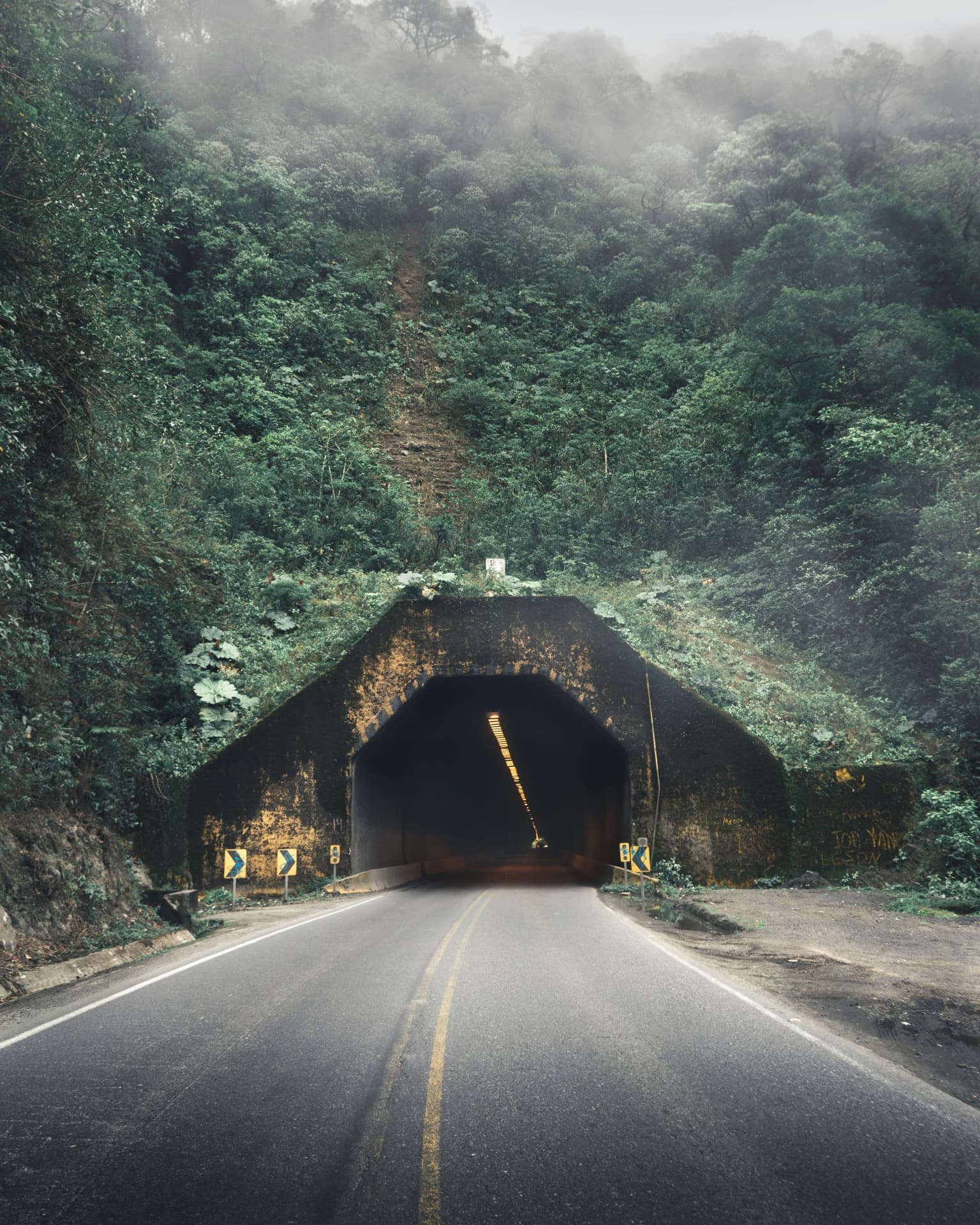 A road entering a dark tunnel beneath a mist-covered forest